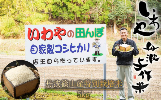 令和6年産 新米! 丹波与作が作るいわやのお米 特別栽培米 5kg
