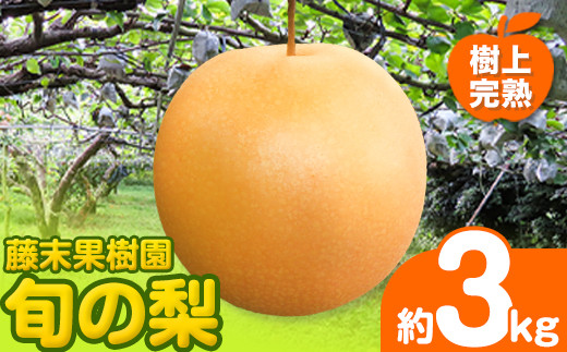 sd1_2917c943ddc6509dff21172701
