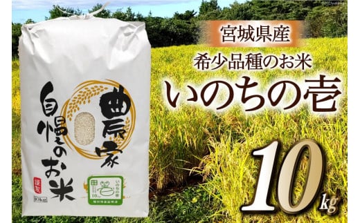 米 10kg いのちの壱　精米 Amazon.co.jp: いのちの壱 精米 (10kg) : 食品・飲料・お酒