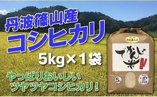 令和6年産 新米】お米のおいしさ伝えたい！丹波篠山産コシヒカリ5kg×1 - 兵庫県丹波篠山市｜ふるさとチョイス - ふるさと納税サイト