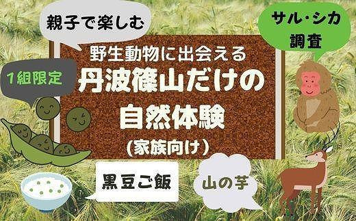 家族で楽しむ】野生動物に出会える 丹波篠山だけの自然体験 - 兵庫県