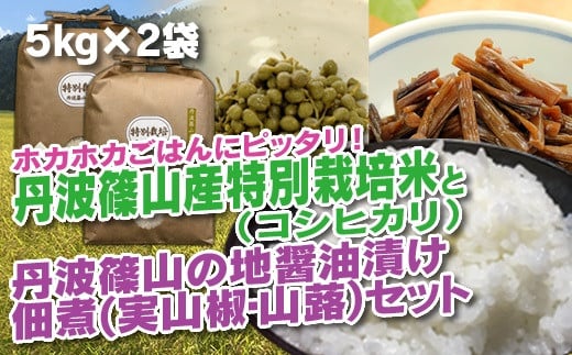 令和6年産 新米】 丹波篠山の地醤油漬、佃煮セット 特別栽培米5kg×２と実山椒・山蕗 - 兵庫県丹波篠山市｜ふるさとチョイス - ふるさと納税サイト