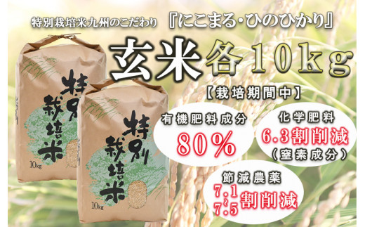 令和4年長崎県産 特別栽培米＞ 九州のこだわり玄米10kg×2 - 長崎県諫早