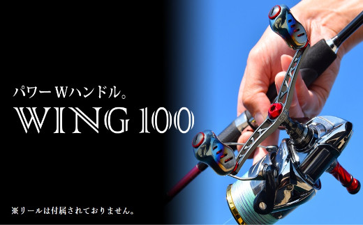 LIVRE リブレ Wing100（ダイワタイプ） F21N-596 - 三重県亀山市 ...