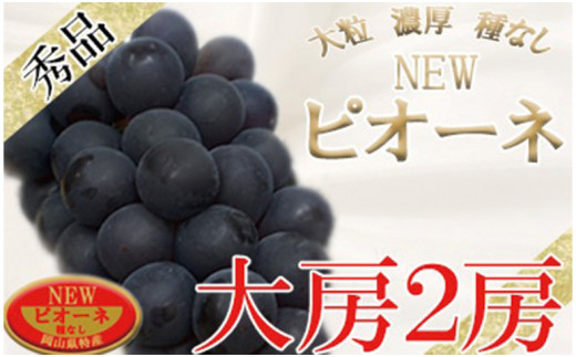 令和5年発送分】岡山県産 ニューピオーネ 大房2房 - 岡山県備前市