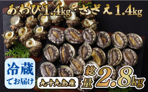 A180p 九十九島あわび(1,400g)・さざえ(1,400g) - 長崎県佐世保市｜ふるさとチョイス - ふるさと納税サイト