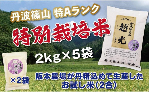 丹波篠山産 特Aランク 特別栽培米 越光（２ｋｇ×５袋） - 兵庫県丹波