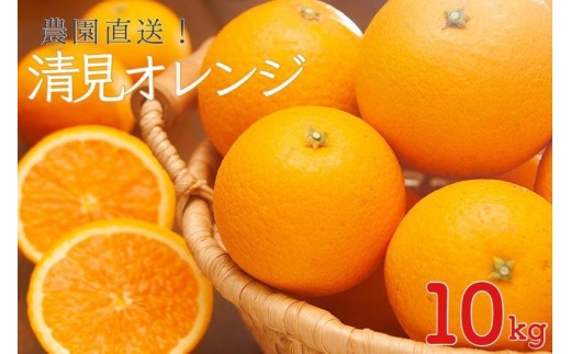 和歌山県産　大きめサイズ混合清見オレンジ　10kg