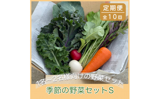 10ヶ月定期便】京都府綾部市の季節の野菜セットS（1～2名様分）農薬不