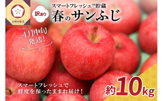 ふるさと納税「サンふじ りんご」の人気返礼品・お礼品比較 - 価格.com