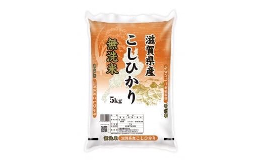 令和4年産 無洗米 滋賀県産 こしひかり 10kg（5kg×2袋）