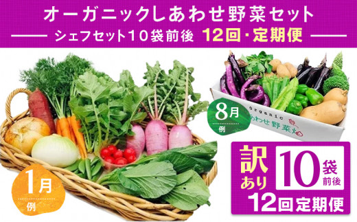 １５８４ フードロス対応 規格外野菜利用 オーガニック野菜 ｢ シェフＭ