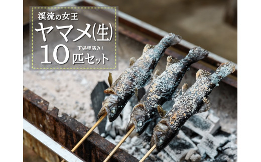 サンプル写真