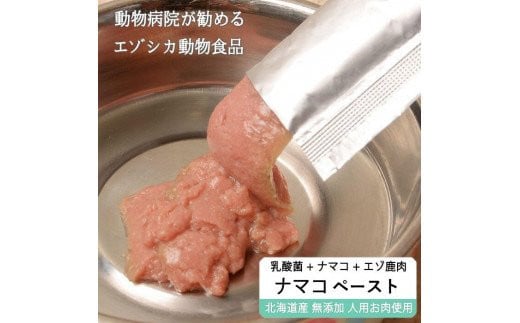 販売 ナマコ ペット 値段