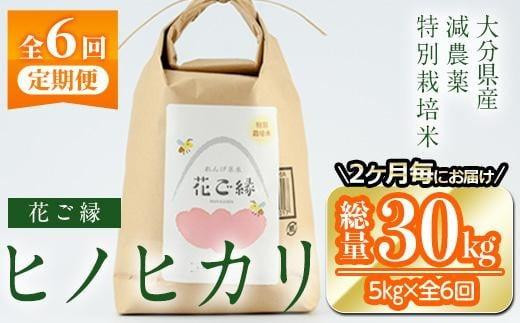 定期便・全6回 (隔月)＞減農薬特別栽培米 はなご縁 (総量30kg・5kg×6回) 米 定期便 ６回 隔月 ひのひかり ヒノヒカリ 精米 白米  大分県産【HD174】【さいき本舗 城下堂】 - 大分県佐伯市｜ふるさとチョイス - ふるさと納税サイト