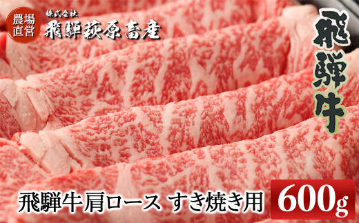 y򕌌Cszˋ[X  600giĂpj Y  uh ₫ XLL Mtg yⓀz