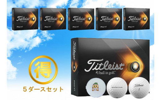 いなッピーオンネーム ゴルフボール タイトリストPRO V1 5ダース