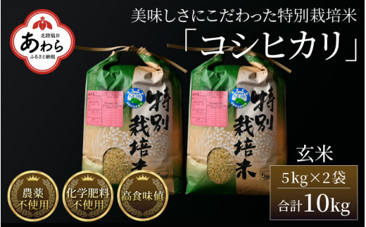 自然栽培　コシヒカリ　令和元年　新米　10キロ　玄米