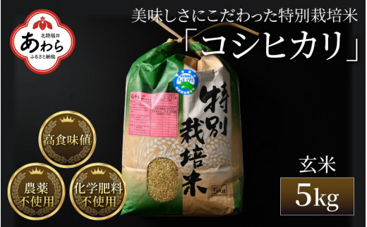令和5年新米 自然栽培米コシヒカリ 玄米5kg 農薬不使用・肥料不使用