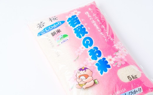 y挧z13800Dy6zʍ͔|ā@i킩ĵā@RVqJ@10kg×6ցi5kg×2×6j