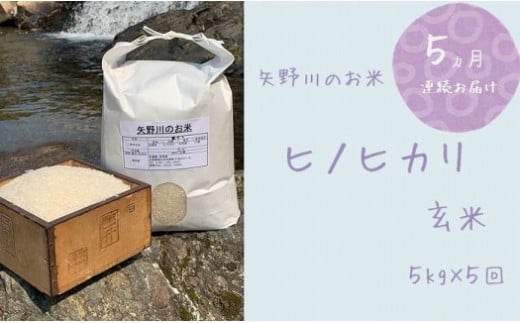 定期便・全5回】矢野川のお米 ヒノヒカリ玄米5kgｘ5回 - 兵庫県相生市