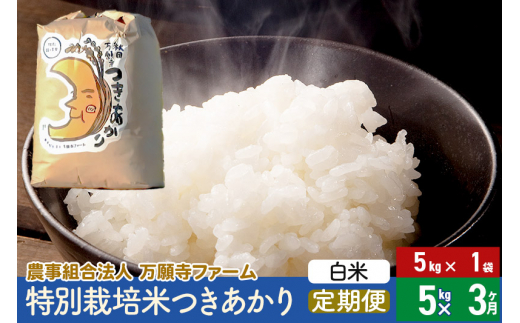 ふるさと納税 秋田県 美郷町 《定期便6ヶ月》令和5年産 おばこの