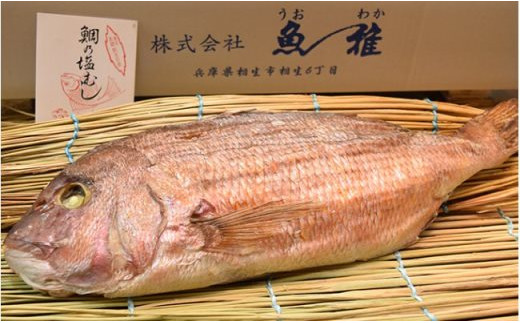 ふるさと納税 兵庫県 相生市 矢野川のお米 ヒノヒカリ精米8kgx3回