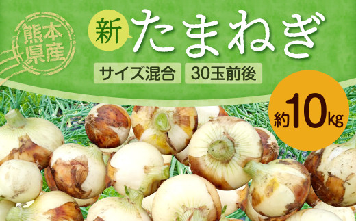 新物 青森県にんにく20Kg 心細 ML 種