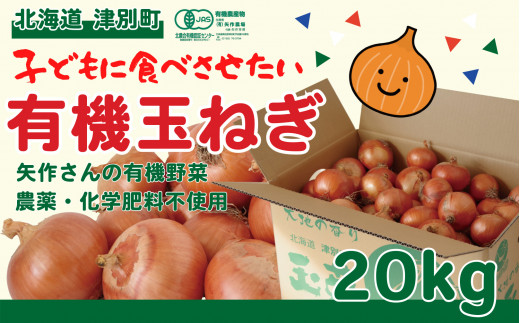 有機農産物 玉ねぎ 20kg (有)矢作農場/014-36224-b01B 【 玉ねぎ タマネギ たまねぎ 玉葱 オニオン カレー 肉じゃが  ハンバーグ 焼肉 BBQ ソテー スープ グラタン シチュー 野菜 常備野菜 長期保存 北海道 産地直送 津別町 オホーツク 道東 ふるさと納税 人気  ランキング ...