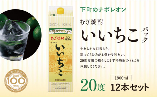 いいちこ 20度 パック(計21.6L・1.8L×12本)酒 お酒 むぎ焼酎 1800ml 麦焼酎 常温 いいちこ 三和酒類 紙パック【107304900】【時枝酒店】  - 大分県宇佐市｜ふるさとチョイス - ふるさと納税サイト