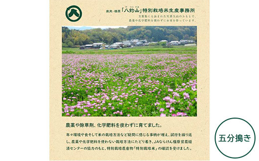 【奈良県橿原市】【新米】奈良・橿原 農薬や化学肥料不使用【令和7年産】ヒノヒカリ【五分搗き】約5kg(5kg×1袋)※2025年10月下旬〜11月上旬頃に順次発送予定