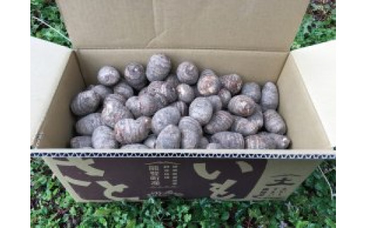 yΐ쌧\oz\oY 10kgyԌz