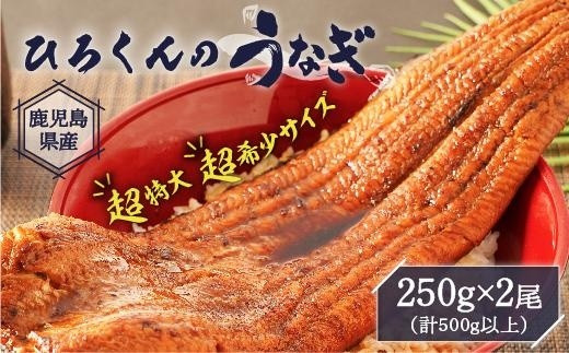 超特大】ひろくんのうなぎ 250g×2尾 - 鹿児島県大崎町｜ふるさと