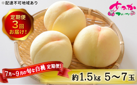 yRԔ֎sz  2026N s\ 7`9 ̏{  ցI1.5kg 5`7 3񂨓͂I   R Ԕ֎sY Y t[c ʕ Mtg ݂t[c _炩 W[V