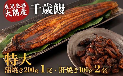 鹿児島県大隅産 特大うなぎ蒲焼200g 1尾・鰻の肝焼き100g×2袋 セット