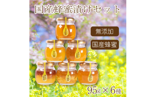 はちみつ 国産 蜂蜜漬け セット 570g( 95g×6種 ) 山口県産 下関 - 山口