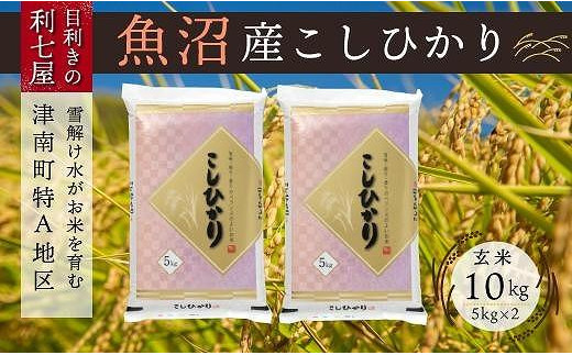 令和5年産 新米】【魚沼産コシヒカリ 玄米10kg（5kg×2袋）×全3回