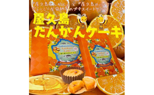 屋久島タンカンケーキ 20個入り