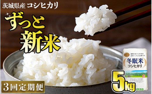 3回定期便】茨城県産 コシヒカリ 冬眠米 5kg×3回 計15kg お米 米 コメ