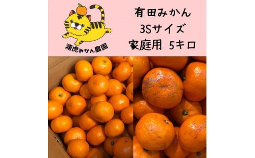 温州みかん　家庭用5kg ( 3Sサイズ以下指定)小さなミカンが好きな人におすすめ