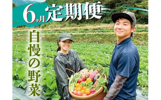 高知県香美市】新鮮野菜BOX定期便・偶数月にお届け(6カ月便）8