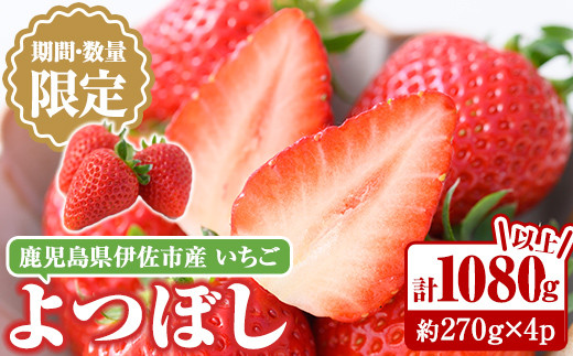 isa415 ＜2025年1月～3月発送予定＞《期間・数量限定》酸味が少なく