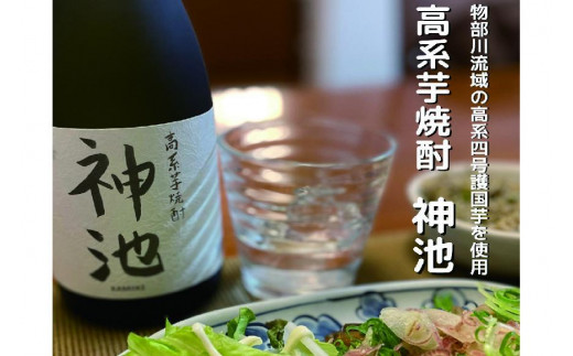 高系芋焼酎 神池 25度 720ml