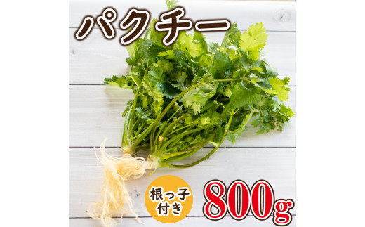 訳あり 野菜 パクチー 根付き 800g 薬味 香辛料 香草 阿波市産 徳島県