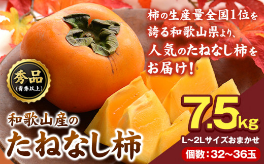 【先行予約】和歌山産のたねなし柿約7.5kg L~2Lサイズおまかせ 32～36玉【サイズお任せ/秀品】青秀以上《10月上旬-11月末頃出荷予定》  和歌山県 紀の川市 紀の川市厳選館 柿 カキ かき ジューシー フルーツ 秋の味覚 刃根早生 平核無柿