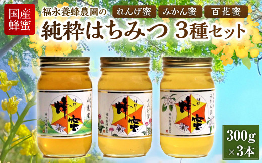 【国産蜂蜜】福永養蜂農園の純粋はちみつ3種セット(300g×3本) ハチミツ 蜂蜜 れんげ蜜 みかん蜜 百花蜜