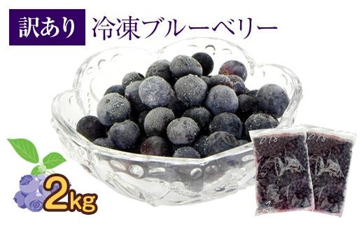 ゴッホ 星月夜 冷凍ブルーベリー10kg(1kg×10袋) - 通販 - mateinbox.com.br