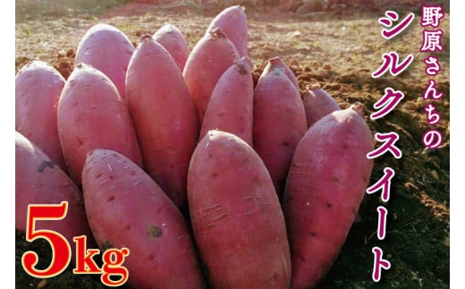 【茨城県行方市】【2026年1月中旬より順次発送】野原さんちのシルクスイート 約5kg|芋 さつまいも サツマイモ お芋 いも シルクスイート 期間限定 先行予約 茨城県 行方市(EL-3-1)