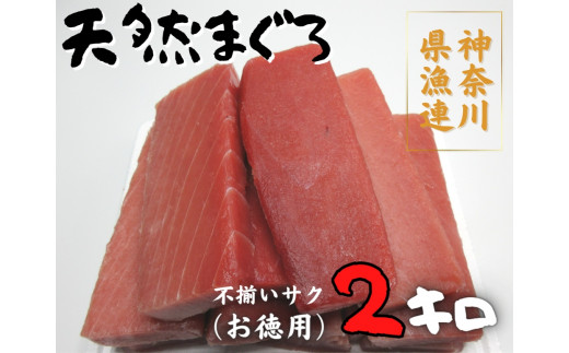 A24-005 神奈川県漁連 天然マグロ 2ｋｇ【お徳用】不揃いサク