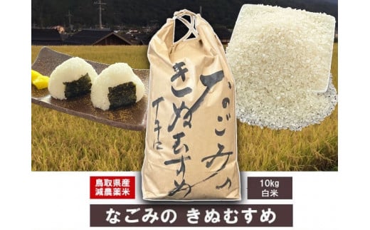 鳥取県産ひとめぼれ（５ｋｇ×２袋）令和５年産 新米 お米 米 こめ コメ